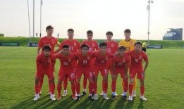 花海爆料亚运会视频播放,精彩瞬间尽收眼底